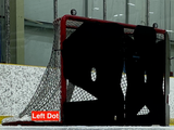 3D Tendy