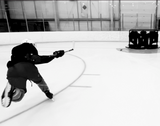 3D Tendy